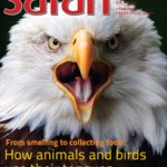 Safari - April 2014 issue - Cover page