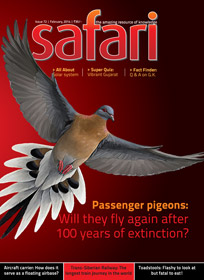 Safari Magazine - February 2014 issue - Cover Page