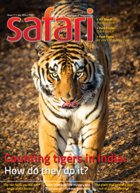Safari magazine June 2014 Cover Page