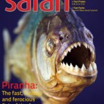 Safari magazine June 2014 Cover Page