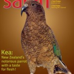 Safari - May 2014 Issue - Cover Page