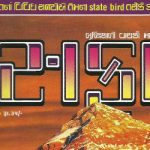 Safari Magazine - Gujarati Edition - November 2016 Issue - Cover Page