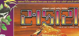 Safari Magazine | Gujarati Edition | November 2016 Issue | Views And Reviews