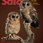 Safari - September 2014 - Cover Page